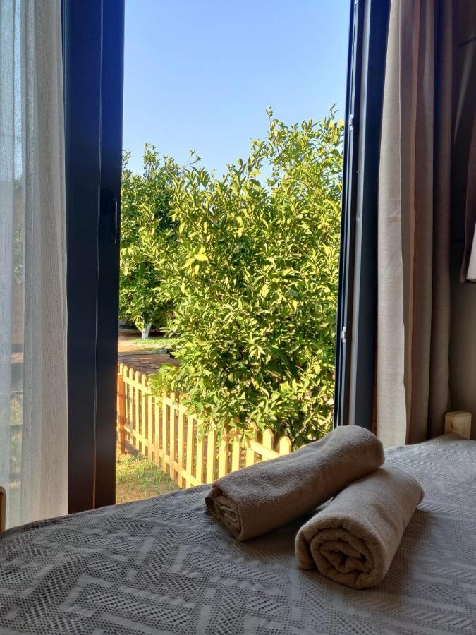 Gaia Tiny Houses Butik Hotel Бодрум Екстер'єр фото