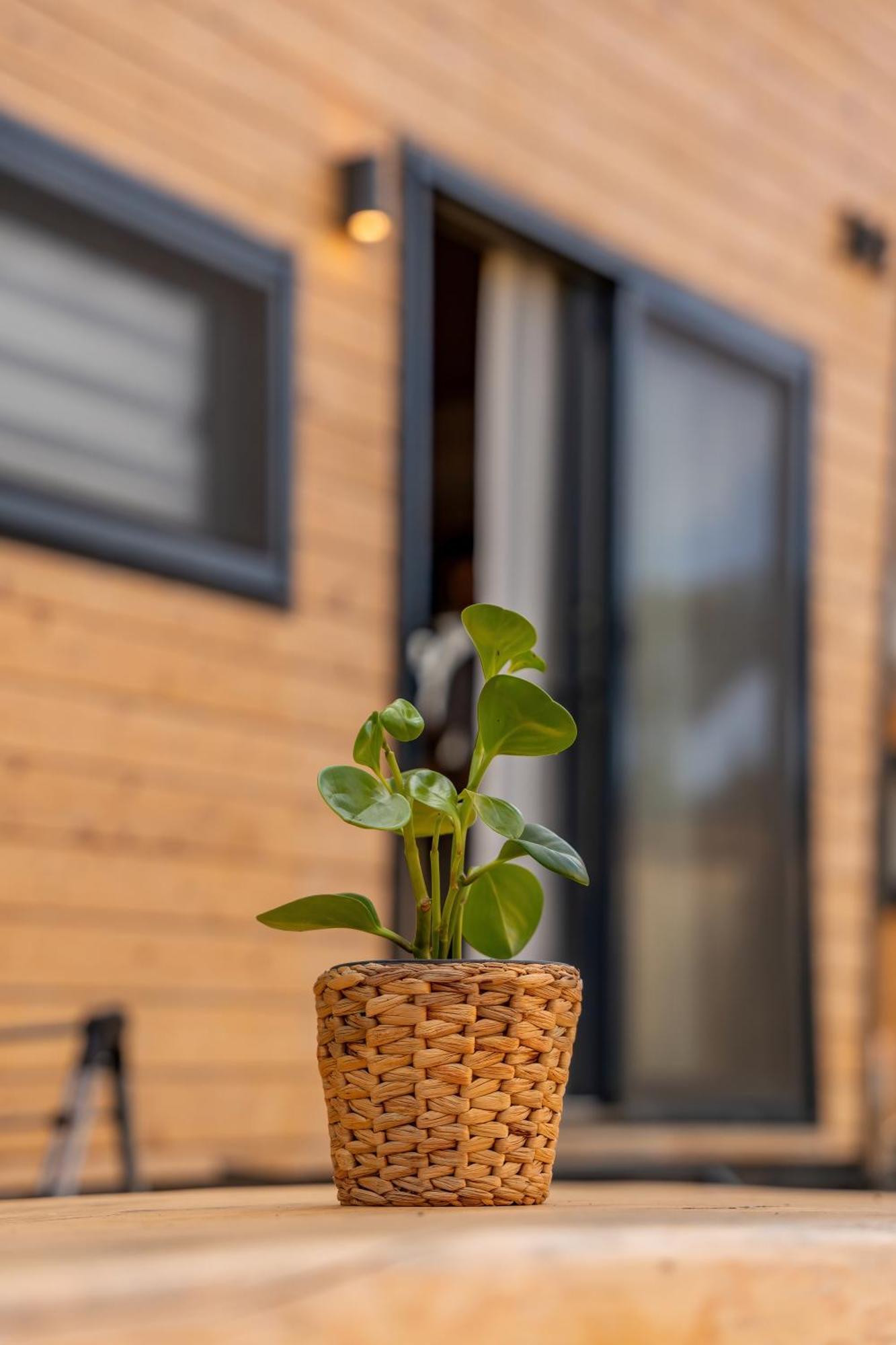 Gaia Tiny Houses Butik Hotel Бодрум Екстер'єр фото